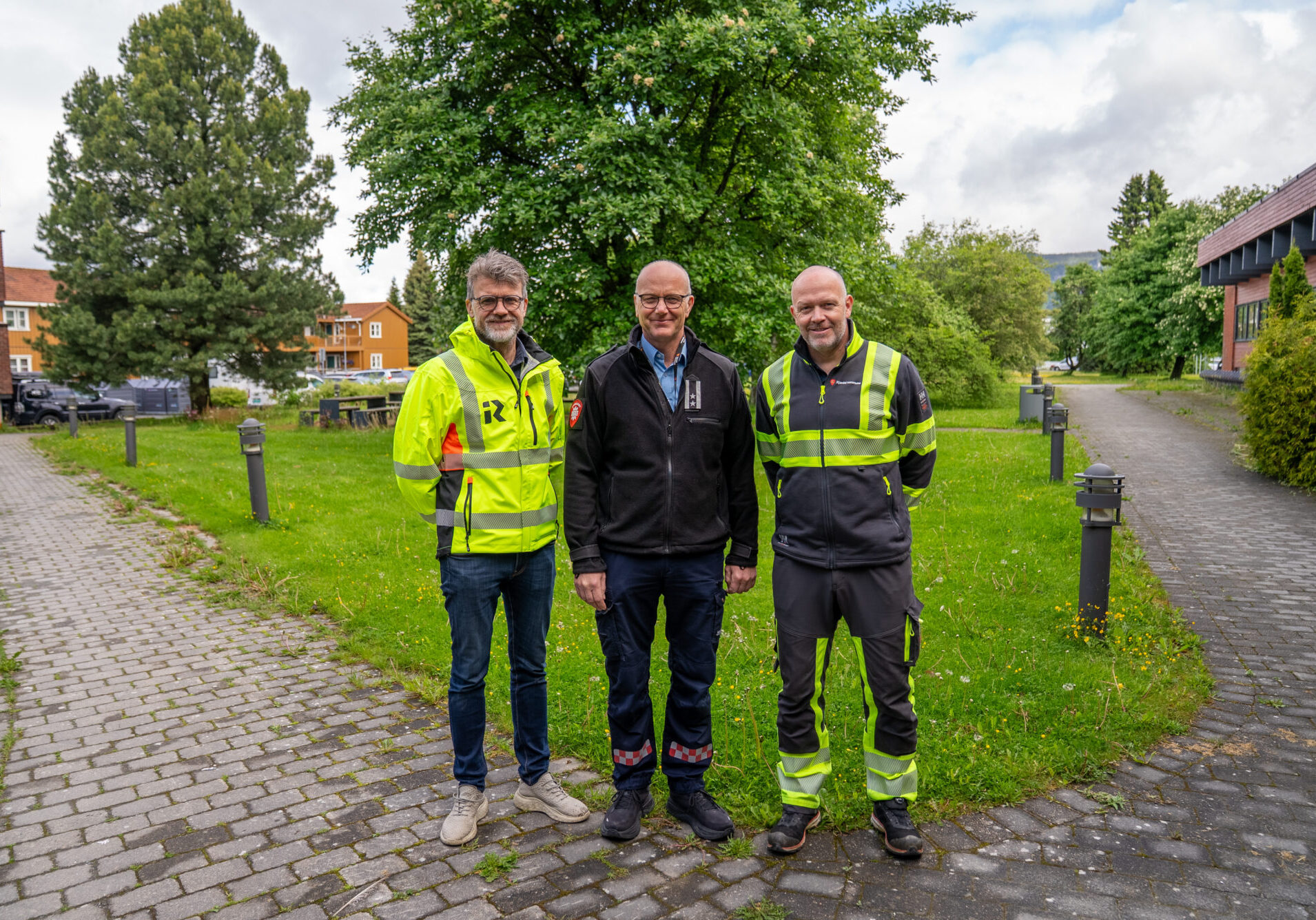 Bilder tatt ifm innholdssak for Innherred Renovasjon, kvistryddeaksjonen